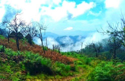 Kodaikanal Resort | The Place ...The Experience