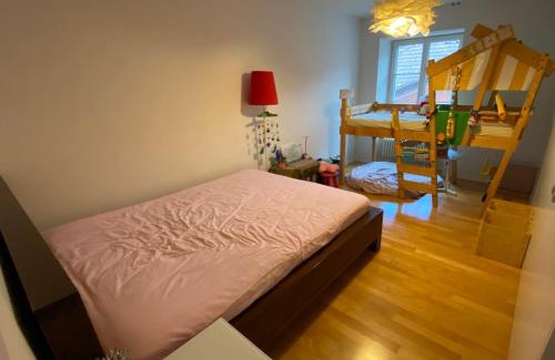 Nussbaumen House | Old Quarter River Front Best Location In Baden