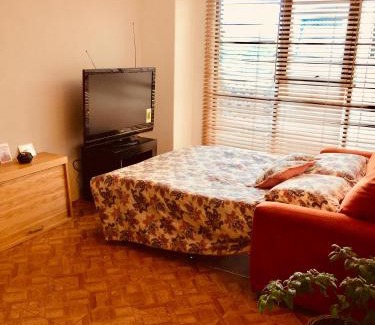 Del Carmen Apartment | The Green Heart of Coyoacan