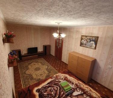 Petropavlovsk Apartment | Однокомнатная квартира в центре города
