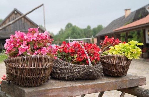 Wasilkow Bed & Breakfast | Gosciniec Folwark Nadawki