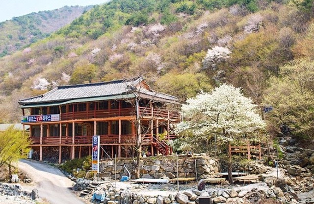 Ulsan Baenaegol Alps 119 House Pension