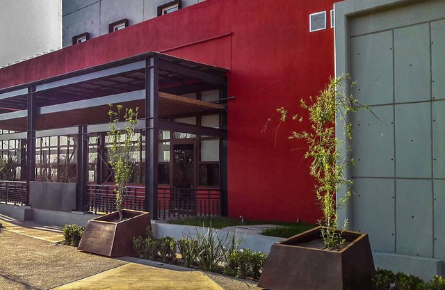 Ibis Irapuato