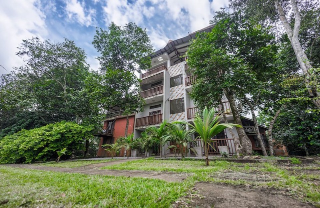 The Treehouse Studio apartments with a large rooftop terrace.