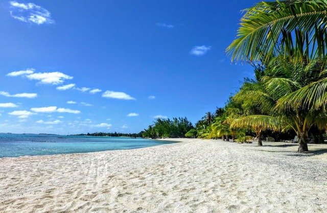 TIKEHAU - Bungalow Aito 4