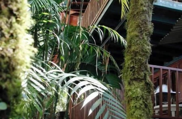 Eco-Cabin apartment inside Cloudforest