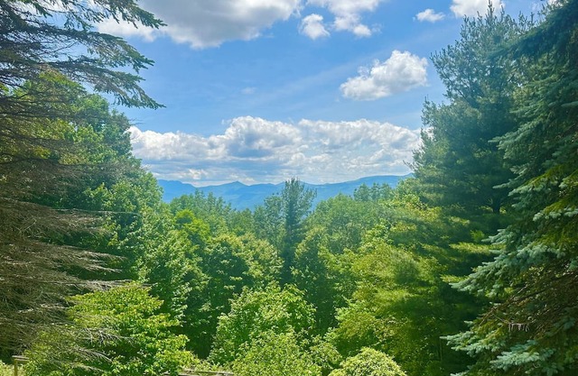Vivian's View is a majestic mountain paradise!