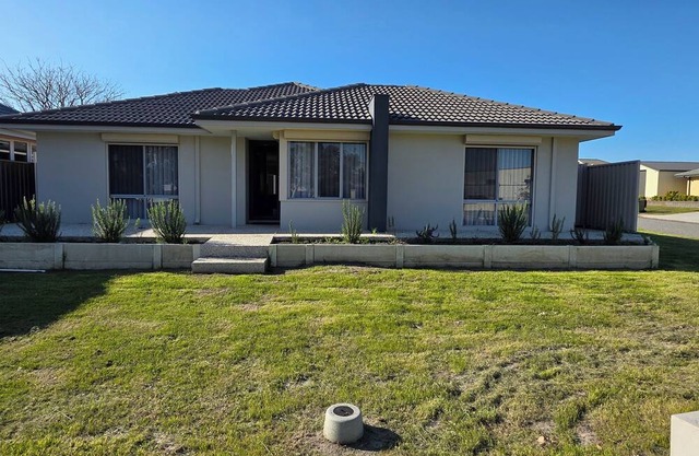 Modern Bassendean Abode