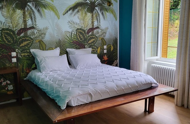 Large suite with access to living room, terrace, garden - Thiers center, train station