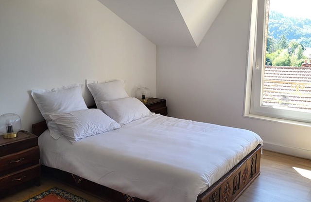 Attic suite with unobstructed view - Thiers center, near train station