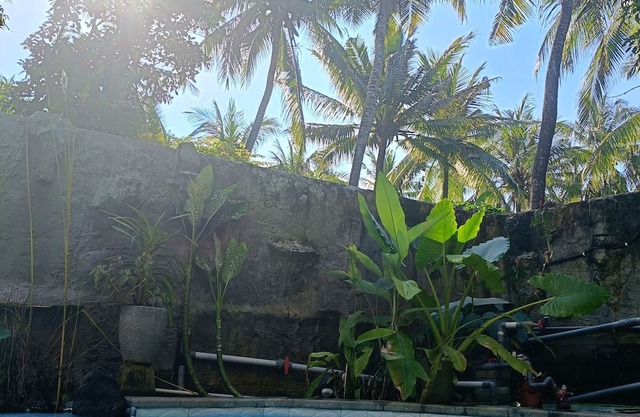 Mermaid Suite With AC 1 B&B - Bali Jungle Retreat with Fine Dining & Eco Pool