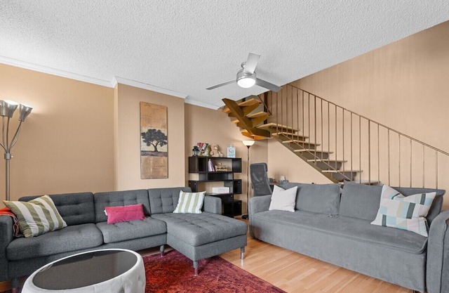 Two Floor Apartment » Swimming Pool » Gym