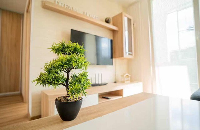 Nice flat in city