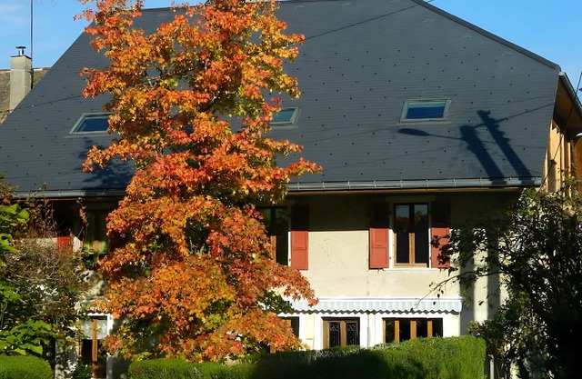 Studio "Le Cabanon 35 m²" with Mountain View and Wi-Fi