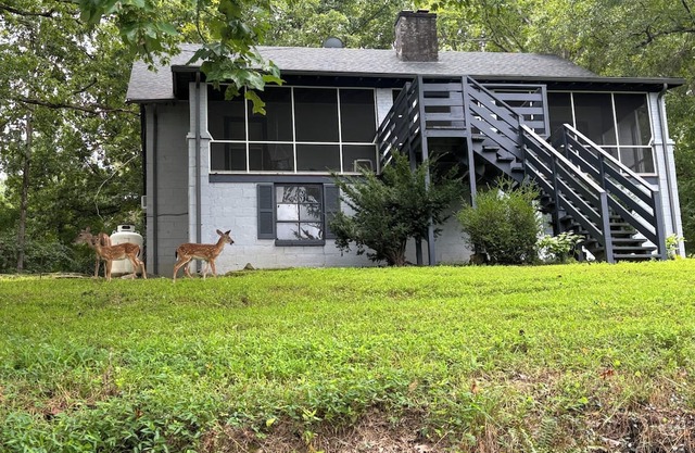 Rustic, yet cozy 4 bedroom house minutes from Longwood and Hampden-Sydney