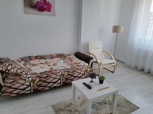 Studio Tineretului 35