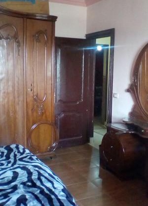 nile view maadi flat