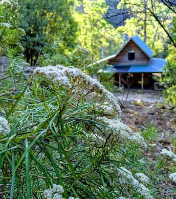 Walhalla House | Happy Go Lucky Hideout Walhalla