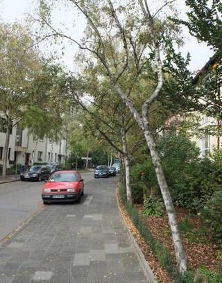 Sud Apartment | nice, quiet, appartment central, close to Mannheim