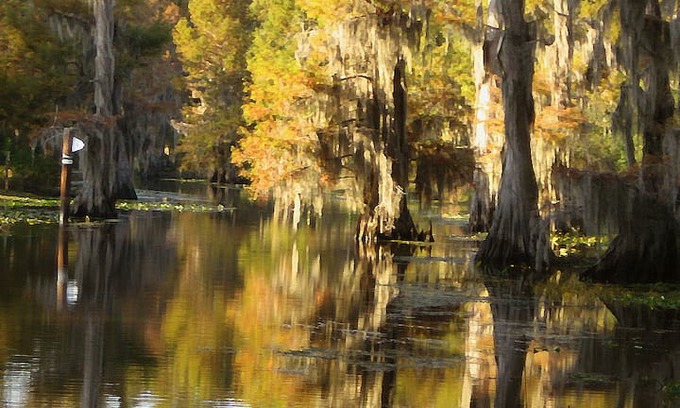 Karnack Cabin | Caddo Lake - Texas Two-Step Duplex (Side A)