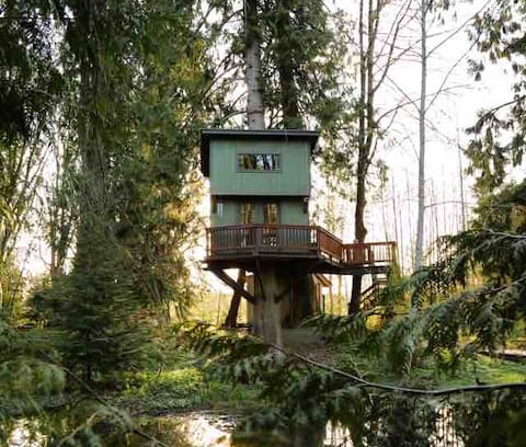Lacey Other | Treehouse with Panoramic Views