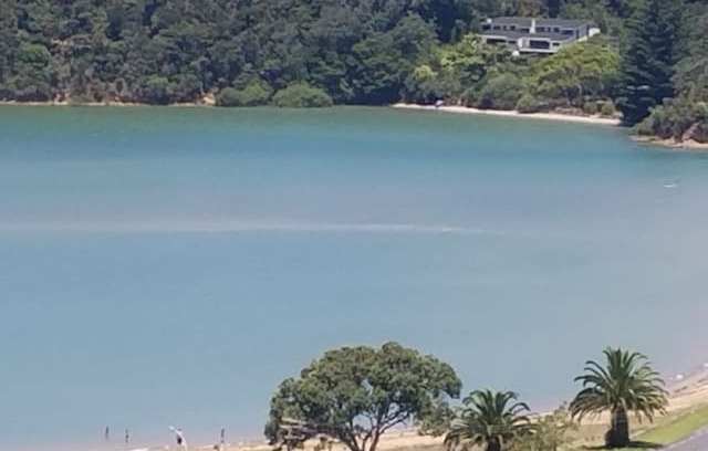 Paihia Apartment | BayHouse on Binnie