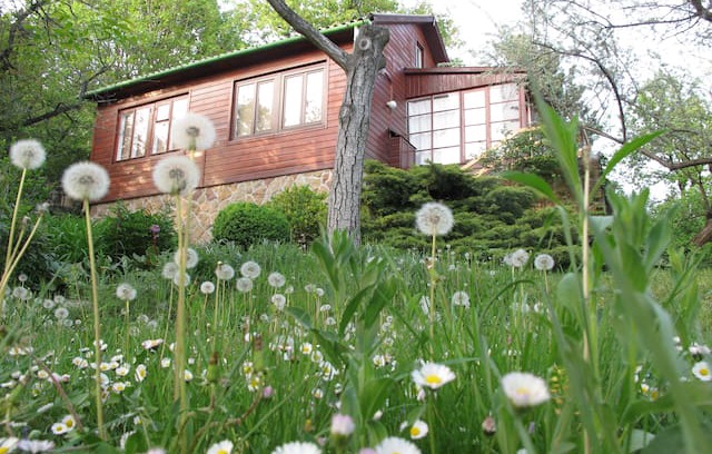 Diosd House | Diósd Árvalányhaj utca 6.
