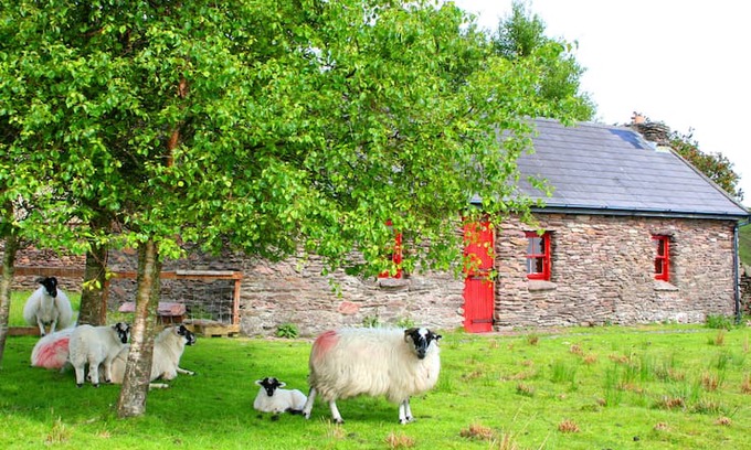Caragh Cabin | Sheep farm stunning views over lake and mountains