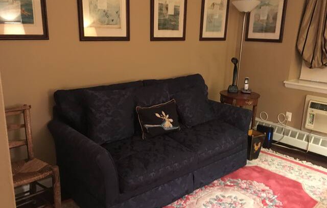 East Harlem Apartment | Manhattan- sofa bed, private room, no deposit