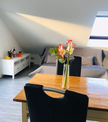 Tailfingen Apartment | Wunderschöne 2 Zimmer Dachgeschosswohnung