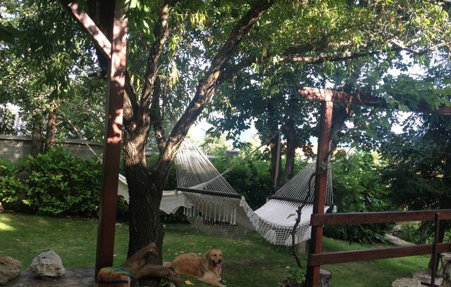 Balchik House | Villa Kafe - rustic, green and blue