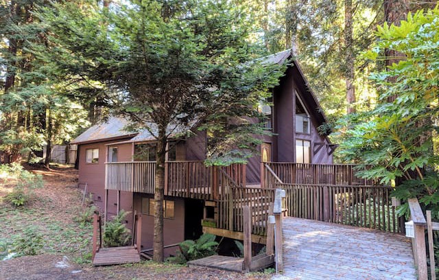 Gualala House | Cozy “Treehouse” 4 BDRM - Gualala, Mendocino Coast