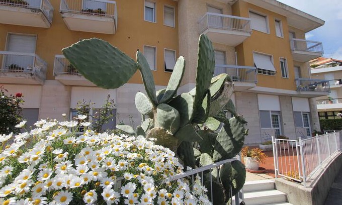 Marina di Andora Apartment | Bilocali tranquilli ad Andora CITR 009006-CAV-0005