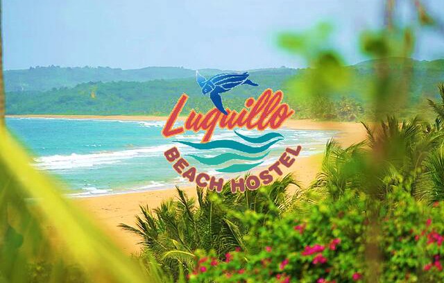 La Pared Hostel | Luquillo Beach Hostel- Leatherback Men's Dorm