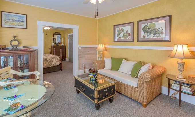 Downtown Dunedin Apartment | PLANTATION · Plantation MERANOVA APT B&B POOL MAIN st DUNEDIN!