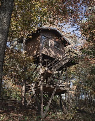 Dundee Other | Treehouse Village - The Sky Loft