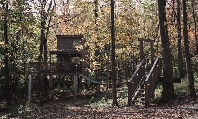 Dundee Other | Treehouse Village - The Shack