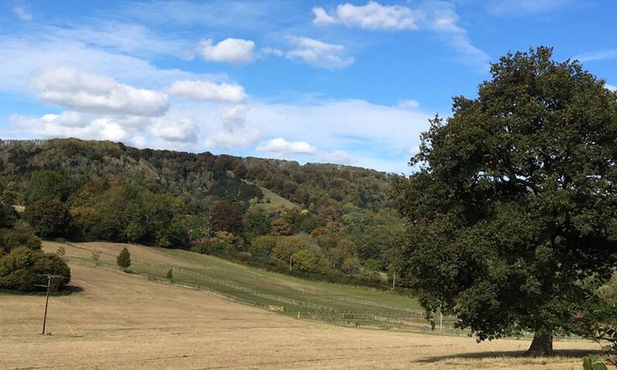 Petersfield House | Charming, private annexe in Steep