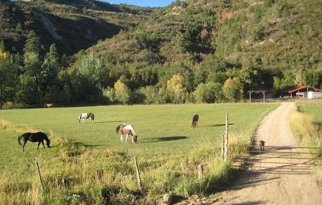 Glendale Cabin | The Bunkhouse at HappyOurs Ranch