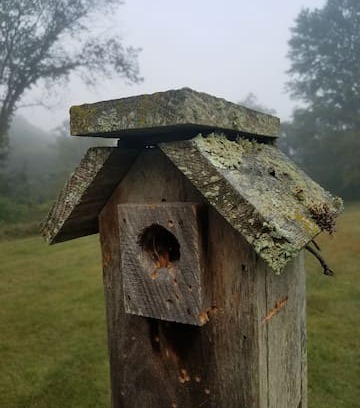 La Farge House | "Thoughtful Nest"