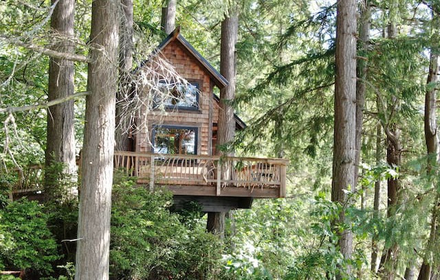 Vashon Island Other | Eagles’ Bluff Treehouse