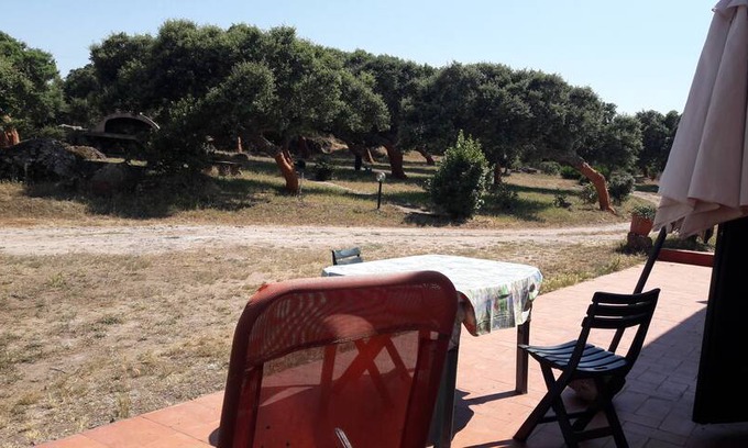 Sedini House | Casetta 4 tra gli alberi