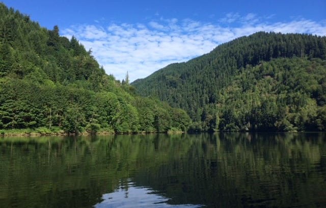 Scottsburg Cabin | Umpqua River cabin with dock. Swim, Fish, Relax!