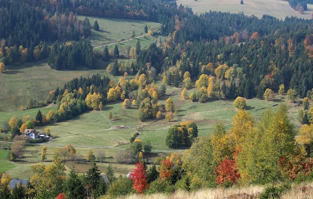 Menzenschwand-Hinterdorf Apartment | B5 Ferienwohnung für 2 Personen Haus Albmatte Menzenschwand Schwarzwald