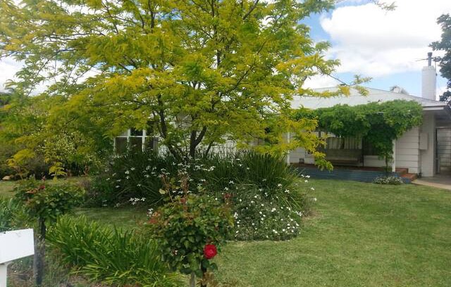 Mildura House | Old gem brings instant good vibes!