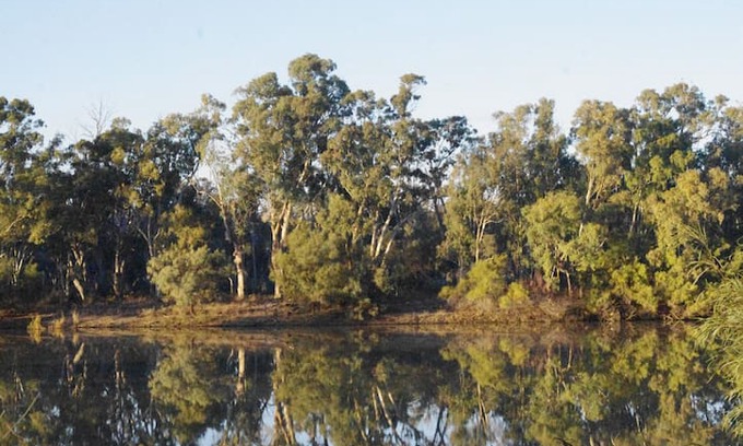 Murtho House | Murtho Reach a river shack