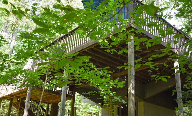 Raymond Cabin | Treehouse cozy cottage on babbling brook