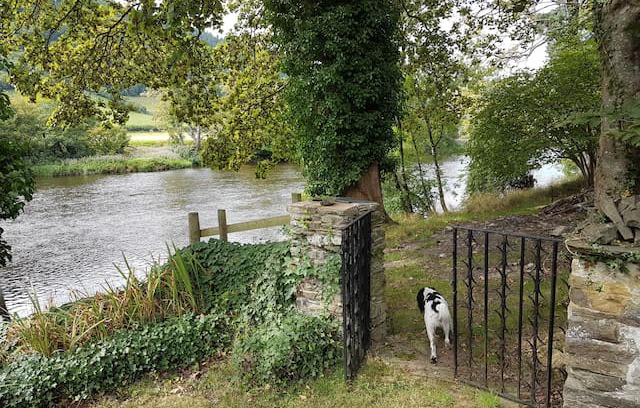 Builth Wells House | Plasgwyn Riverside B and B Ground floor Twin Room