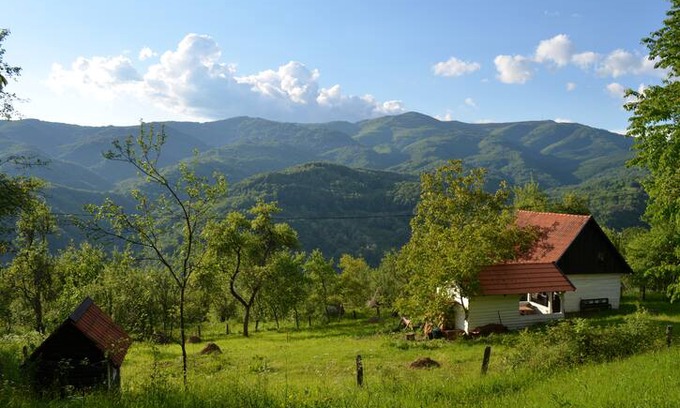 Bulzestii de Sus Cabin | Carpathian Cottage - with Sauna