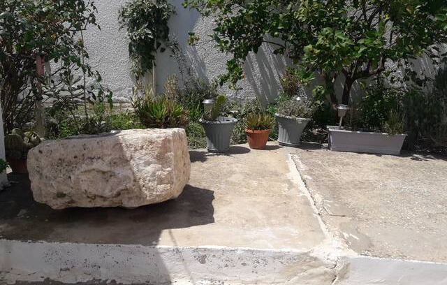 Teboursouk Villa | Hafsi's Garden